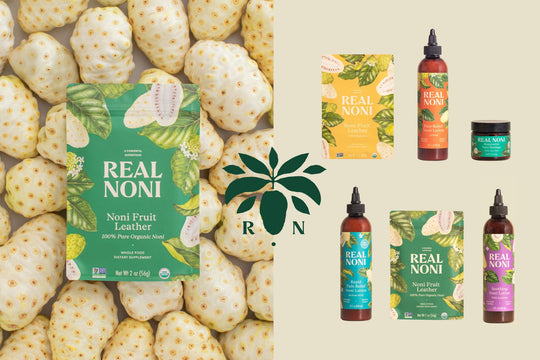 real noni holiday gift guide 2022