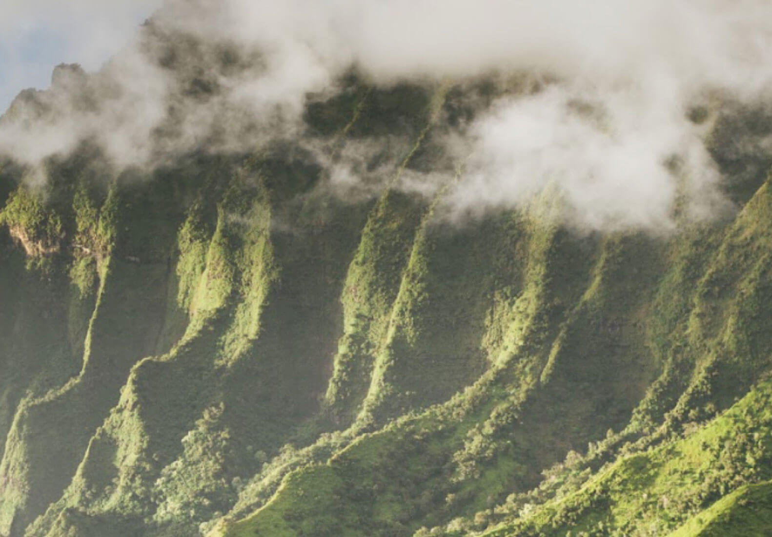 5 Natural Pain Relief Remedies for Arthritis Real Noni