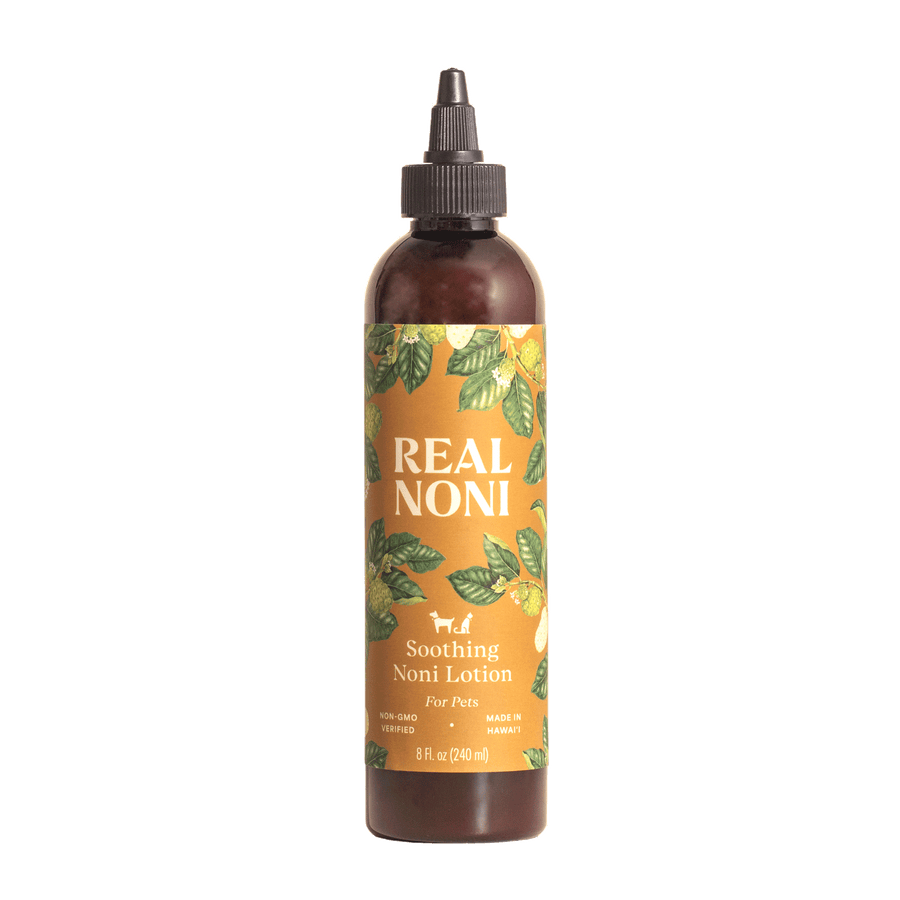 Soothing Noni Lotion - for Pets