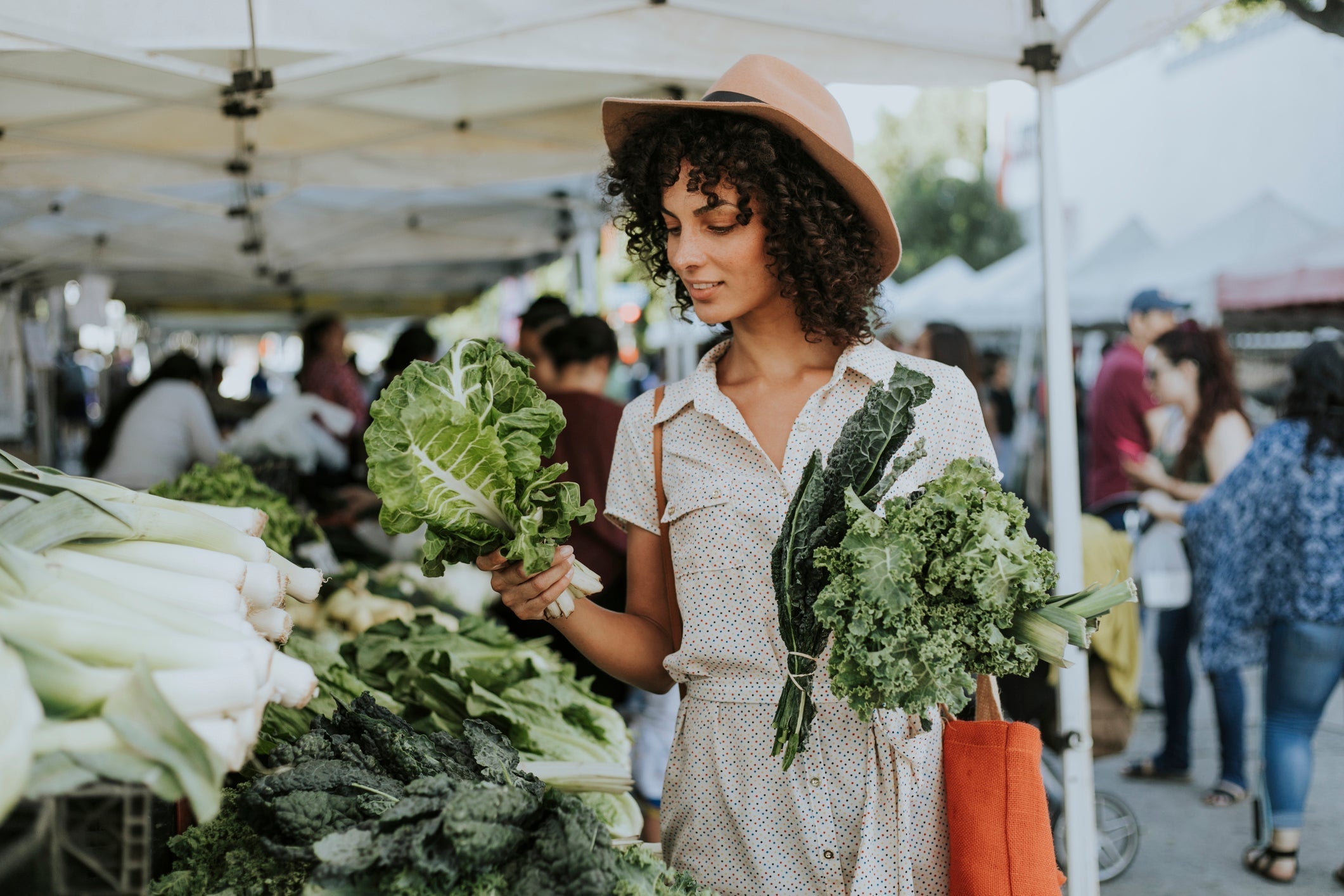 How to Shop for True Organic Products – Real Noni