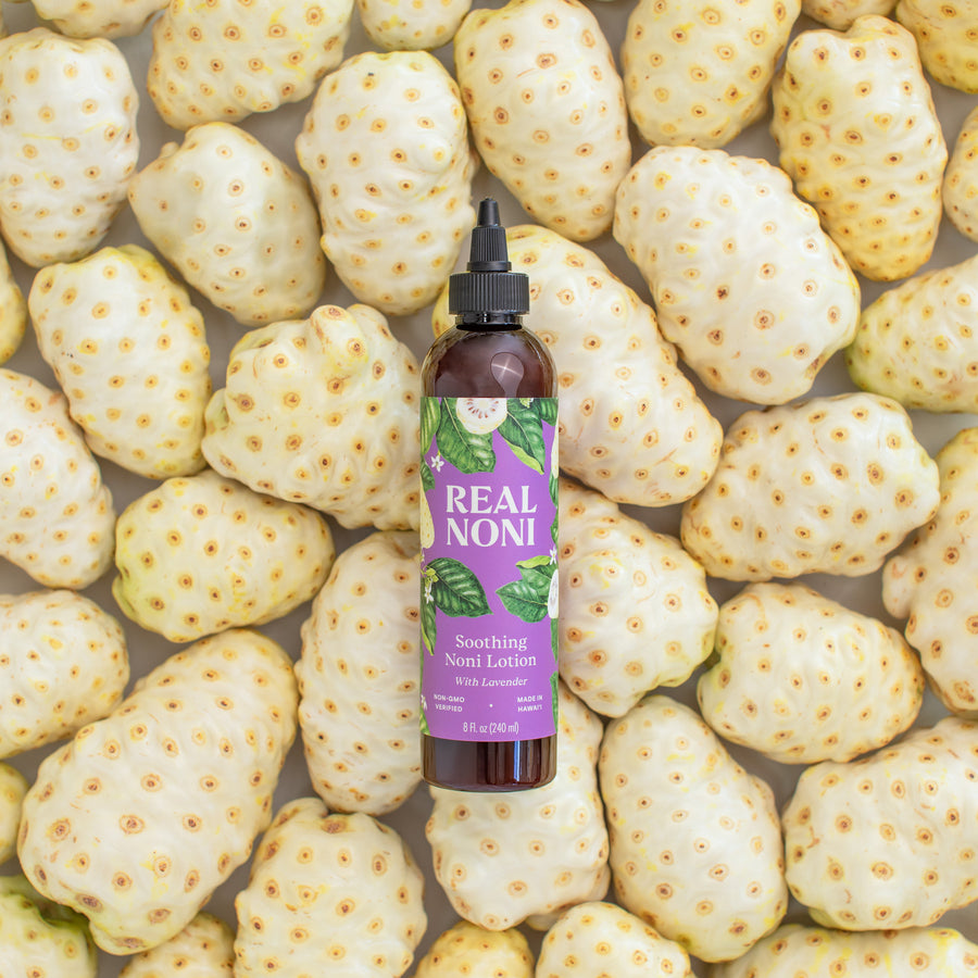 Soothing Noni Lotion - with Lavender